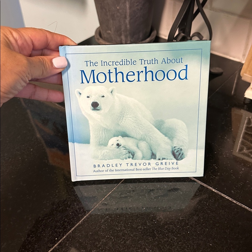 Hallmark Blue and White 'The Incredible Truth About Motherhood' Book